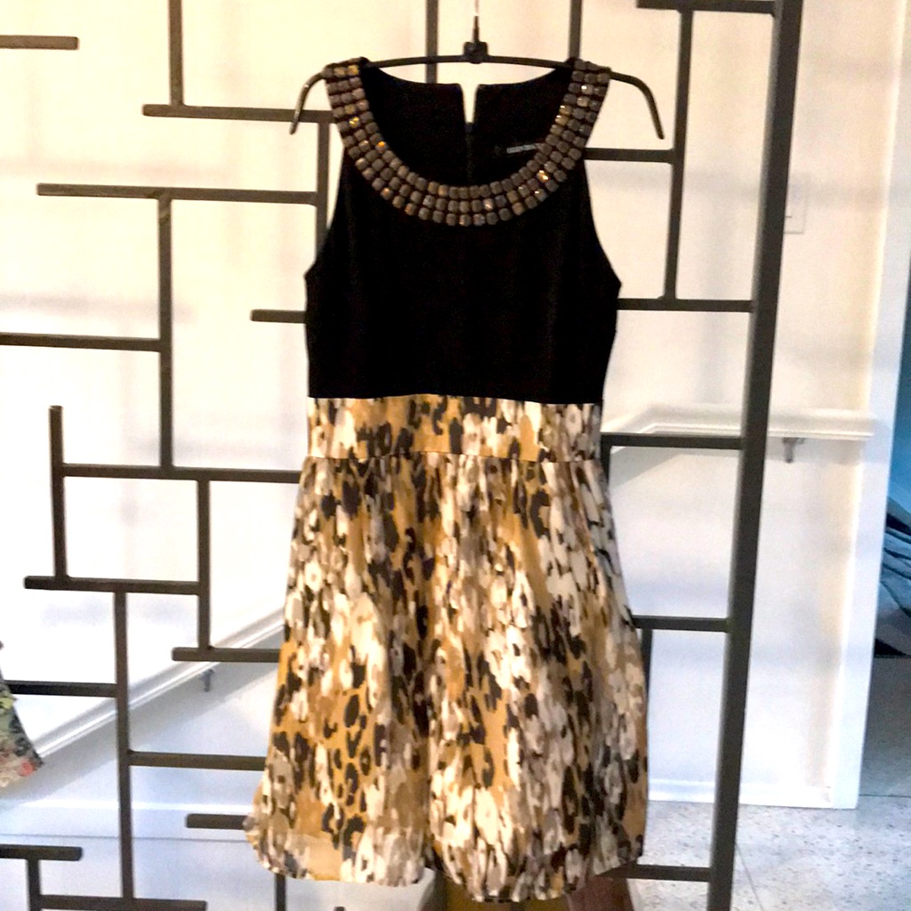 Elegant Ellen Tracey Dress